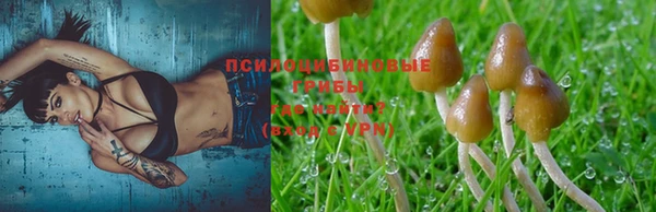 а пвп мука Балахна