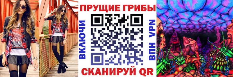 Псилоцибиновые грибы MAGIC MUSHROOMS  как найти наркотики  кракен как войти  Серов 
