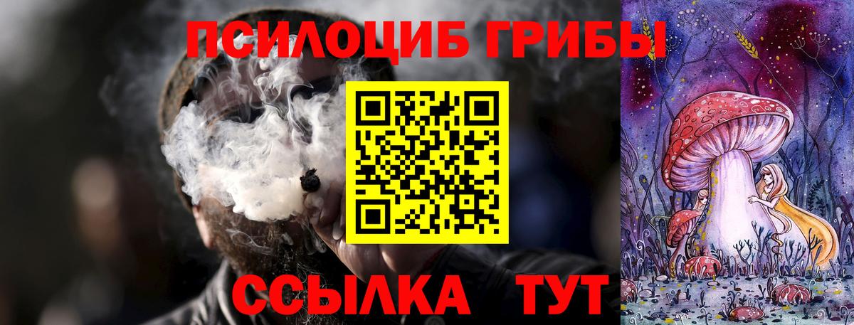 сколько стоит  Вход с VPN  Галлюциногенные грибы Psilocybine cubensis  Серов  Псилоцибиновые грибы Psilocybe 